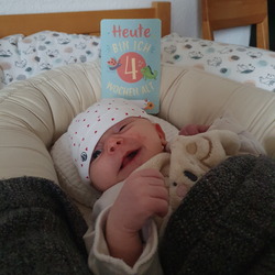 4 Wochen alt